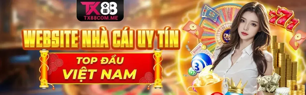 Tổng quan các điều khoản và quy định của CMD68