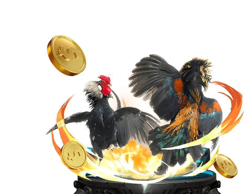 Hệ thống bảo mật và hỗ trợ khách hàng CMD68